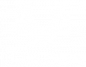 Leva City Logo