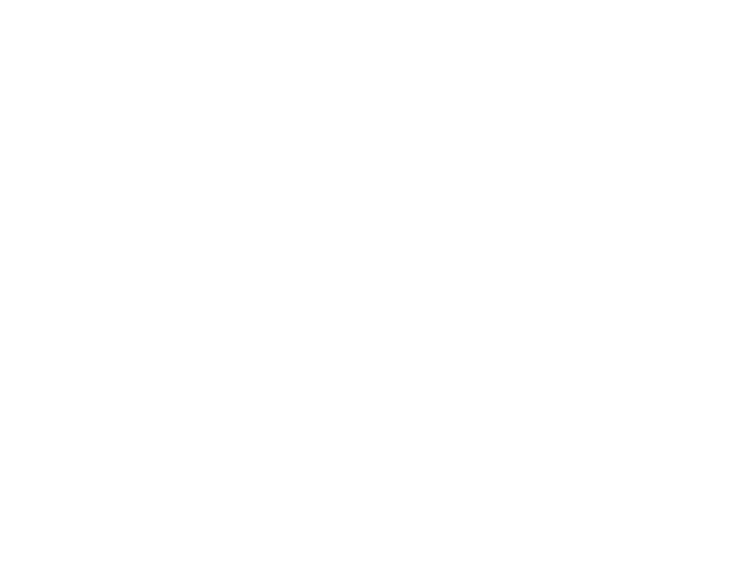 Leva City Logo